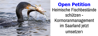 Open Petition Heimische Fischbestände schützen -  Kormoranmanagement im Saarland jetzt umsetzen